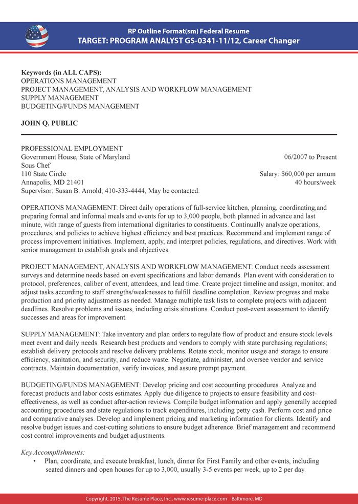 federal government resume example pdf