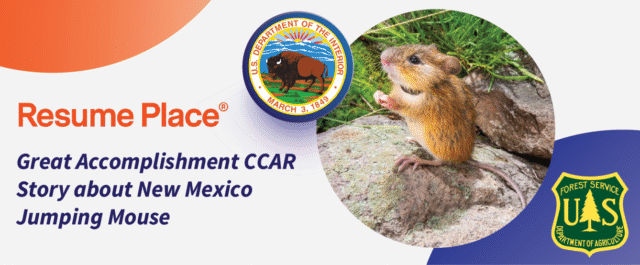 RP-Banner-NM-Jumping-Mouse